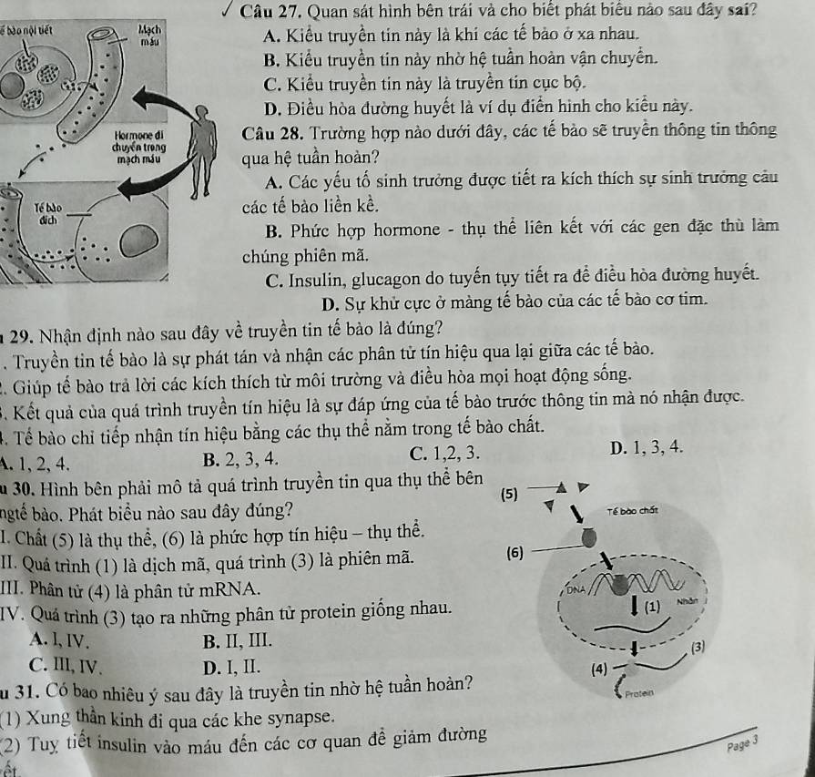 Quan sát hình bên trái và cho biết phát biểu nào sau đây sai?
bể bào nội tiếtA. Kiểu truyền tin này là khi các tế bảo ở xa nhau.
B. Kiểu truyền tin này nhờ hệ tuần hoàn vận chuyển.
C. Kiểu truyền tin này là truyền tin cục bộ.
D. Điều hòa đường huyết là ví dụ điễn hình cho kiểu này.
Câu 28. Trường hợp nào dưới đây, các tế bào sẽ truyền thông tin thông
qua hệ tuần hoàn?
A. Các yếu tố sinh trưởng được tiết ra kích thích sự sinh trưởng câu
các tế bào liền kề.
B. Phức hợp hormone - thụ thể liên kết với các gen đặc thù làm
chúng phiên mã.
C. Insulin, glucagon do tuyến tụy tiết ra để điều hòa đường huyết.
D. Sự khử cực ở màng tế bào của các tế bào cơ tim.
29. Nhận định nào sau đây về truyền tin tế bào là đúng?
. Truyền tin tế bào là sự phát tán và nhận các phân tử tín hiệu qua lại giữa các tế bào.
2. Giúp tế bào trả lời các kích thích từ môi trường và điều hòa mọi hoạt động sống.
3. Kết quả của quá trình truyền tín hiệu là sự đáp ứng của tế bào trước thông tin mà nó nhận được.
4. Tế bào chỉ tiếp nhận tín hiệu bằng các thụ thể nằm trong tế bào chất.
A. 1, 2, 4. B. 2, 3, 4. C. 1,2, 3. D. 1, 3, 4.
Su 30. Hình bên phải mô tả quá trình truyền tin qua thụ thể bên
ngtế bào. Phát biểu nào sau đây đúng?
I. Chất (5) là thụ thể, (6) là phức hợp tín hiệu - thụ thể.
II. Quá trình (1) là dịch mã, quá trình (3) là phiên mã. 
III. Phân tử (4) là phân tử mRNA.
IV. Quá trình (3) tạo ra những phân tử protein giống nhau.
A. l, IV. B. II, III.
C. III, IV. D. I, II. 
Su 31. Có bao nhiêu ý sau đây là truyền tin nhờ hệ tuần hoàn?
(1) Xung thần kinh đi qua các khe synapse.
(2) Tuy tiết insulin vào máu đến các cơ quan đề giảm đường
Page 3
Ất
