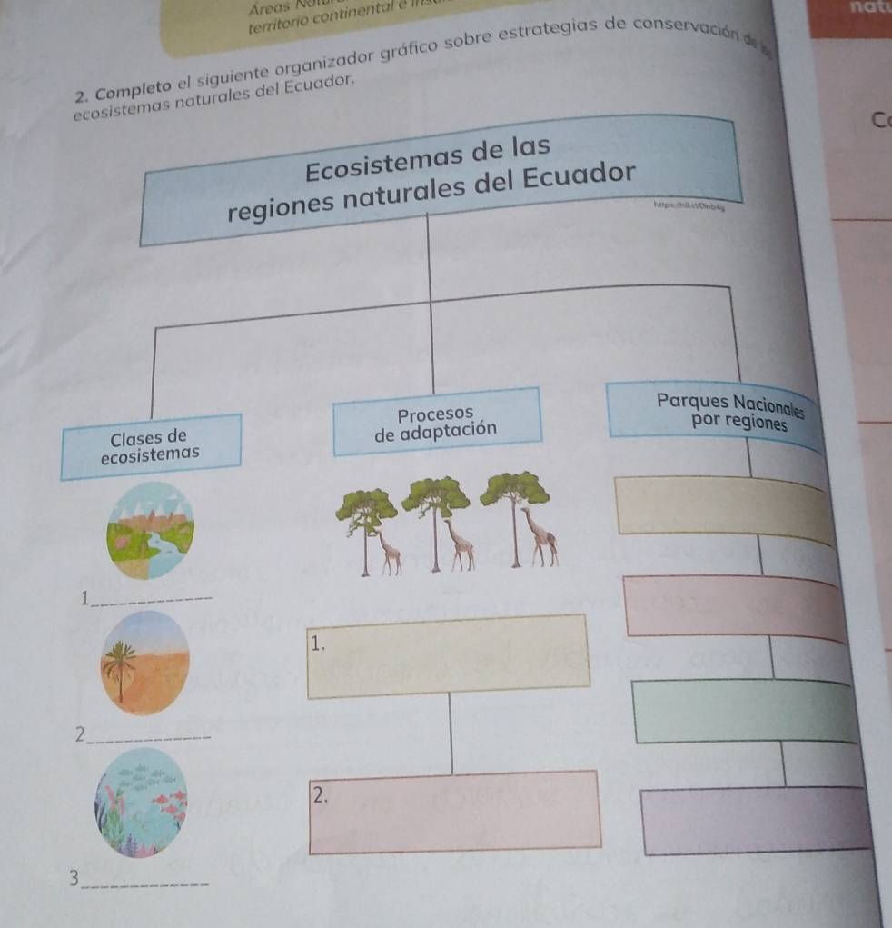 Áreas Nat 
nat 
siguiente organizador gráfico sobre estrategias de conservación de 
dor. 
C