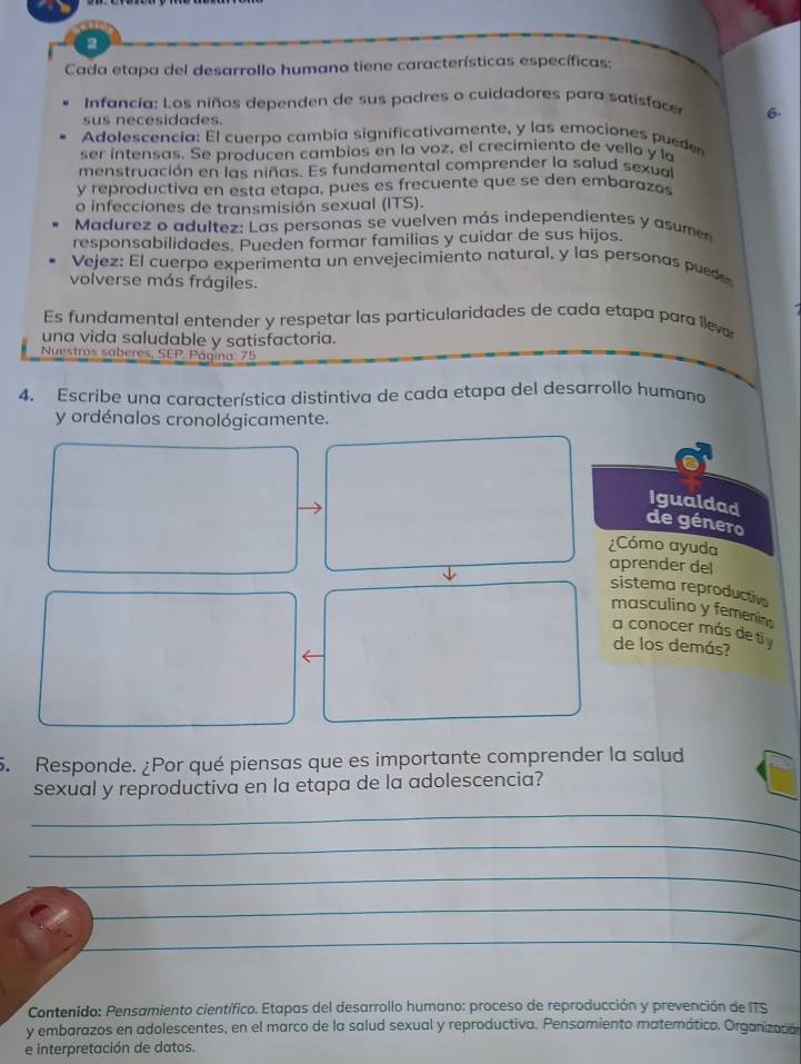 Cada etapa del desarrollo humano tiene características específicas:
Infancia: Los niños dependen de sus padres o cuidadores para satisfacer 6.
sus necesidades.
Adolescencia: El cuerpo cambia significativamente, y las emociones pueder
ser intensas. Se producen cambios en la voz, el crecimiento de vello y la
menstruación en las niñas. Es fundamental comprender la salud sexua
y reproductiva en esta etapa, pues es frecuente que se den embarazos
o infecciones de transmisión sexual (ITS).
Madurez o adultez: Las personas se vuelven más independientes y asumen
responsabilidades. Pueden formar familias y cuidar de sus hijos.
Vejez: El cuerpo experimenta un envejecimiento natural, y las personas puede
volverse más frágiles.
Es fundamental entender y respetar las particularidades de cada etapa para lleva
una vida saludable y satisfactoria.
Nuestros saberes, SEP. Página: 75
4. Escribe una característica distintiva de cada etapa del desarrollo humano
y ordénalos cronológicamente.
Igualdad
de género
¿Cómo ayuda
aprender del
sistema reproductiva
masculino y femening
a conocer más de ti 
de los demás?
5. Responde. ¿Por qué piensas que es importante comprender la salud
sexual y reproductiva en la etapa de la adolescencia?
_
_
_
_
_
Contenido: Pensamiento científico. Etapas del desarrollo humano: proceso de reproducción y prevención de ITS
y embarazos en adolescentes, en el marco de la salud sexual y reproductiva. Pensamiento matemático. Organización
e interpretación de datos.