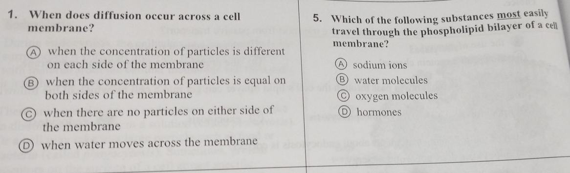 When does diffusion occur across a cell
5. Which of the following substances most easily
membrane?
travel through the phospholipid bilayer of a ce
membrane?
A) when the concentration of particles is different
on each side of the membrane A sodium ions
B) when the concentration of particles is equal on B water molecules
both sides of the membrane ⊙ oxygen molecules
C) when there are no particles on either side of D hormones
the membrane
D) when water moves across the membrane