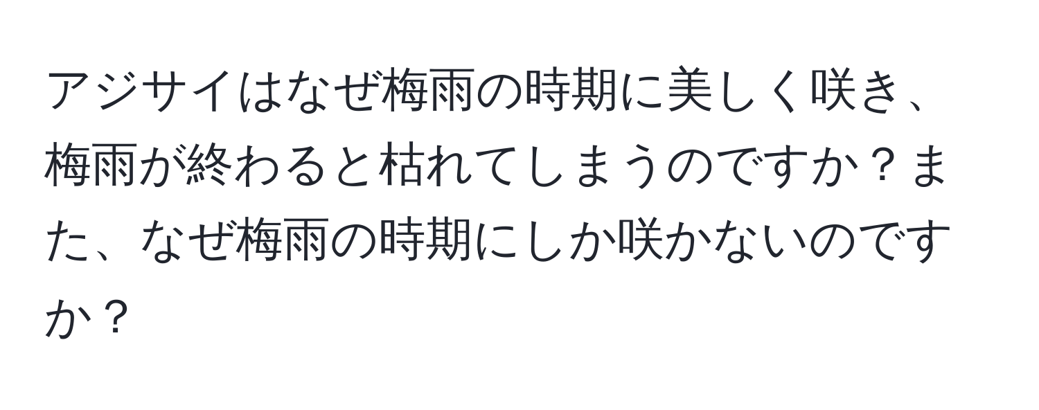 アジサイはなぜ梅雨の時期に美しく咲き、梅雨が終わると枯れてしまうのですか？また、なぜ梅雨の時期にしか咲かないのですか？