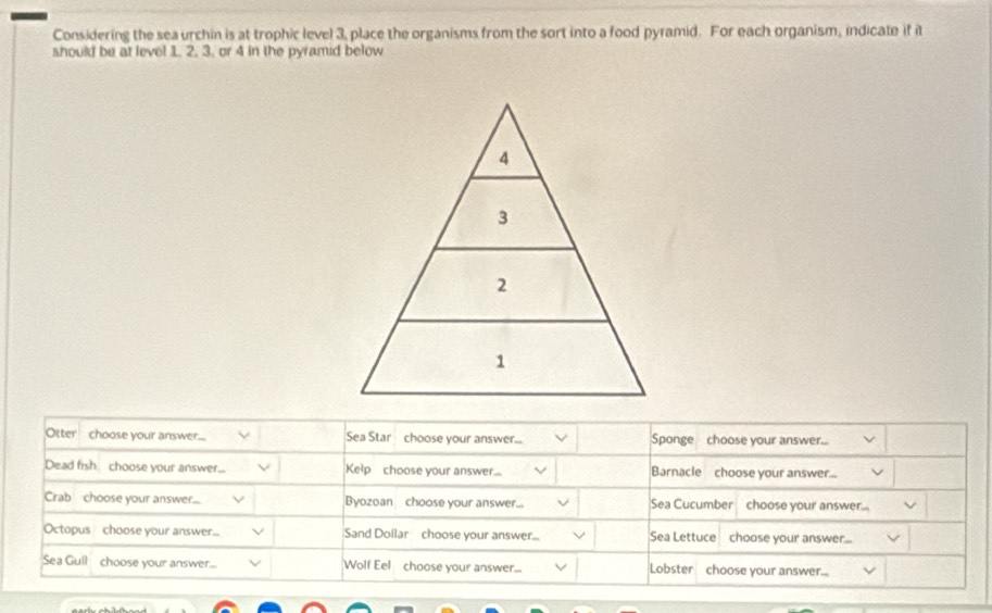 Considering the sea urchin is at trophic level 3, place the organisms from the sort into a food pyramid. For each organism, indicate if it 
should be at leve! 1. 2. 3. or 4 in the pyramid below 
Otter choose your answer... Sea Star choose your answer... Sponge choose your answer... 
Dead fish choose your answer.. Kelp choose your answer... Barnacle choose your answer... 
Crab choose your answer. Byozoan choose your answer... Sea Cucumber choose your answer... 
Octopus choose your answer... Sand Dollar choose your answer... Sea Lettuce choose your answer... 
Sea Gull choose your answer.... Wolf Eel choose your answer.. Lobster choose your answer...