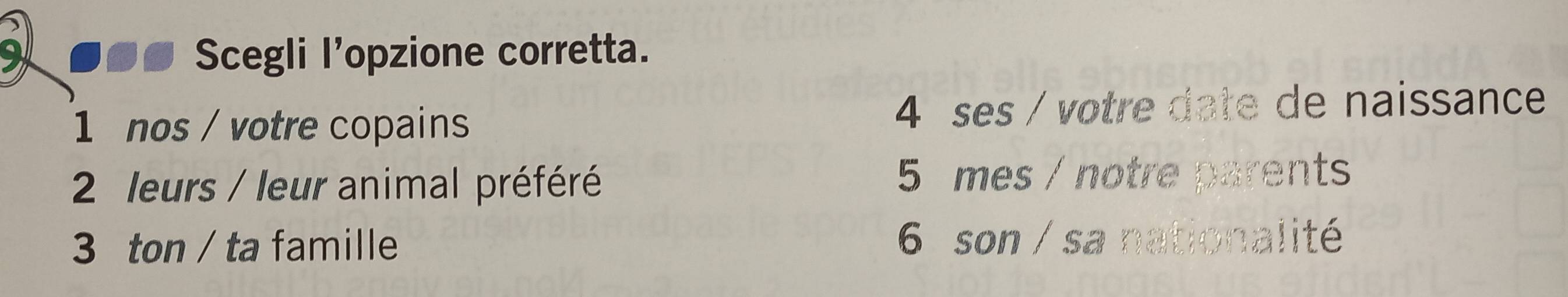 ●●● Scegli l'opzione corretta.
1 nos / votre copains 4 ses / votre date de naissance
2 leurs / leur animal préféré 5 mes / notre parents
3 ton / ta famille 6 son / sa nationalité