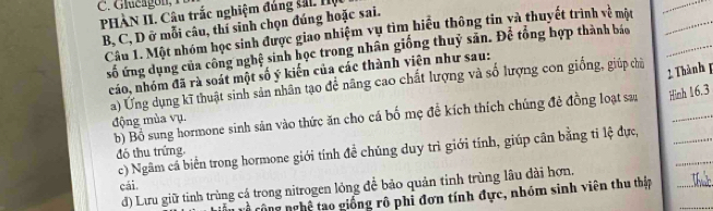 PHÀN II. Câu trắc nghiệm đúng sắi Hộ
B, C, D ở mỗi câu, thí sinh chọn đúng hoặc sai.
Câu 1. Một nhóm học sinh được giao nhiệm vụ tìm hiểu thông tin và thuyết trình về một__
_
số ứng dụng của công nghệ sinh học trong nhân giống thuỷ sân. Để tổng hợp thành báo
cáo, nhóm đã rà soát một số ý kiến của các thành viên như sau:
a) Ứng dụng kĩ thuật sinh sản nhân tạo để nâng cao chất lượng và số lượng con giống, giúp chủ
2 Thành 1
b) Bổ sung hormone sinh sản vào thức ăn cho cá bố mẹ đề kích thích chúng đẻ đồng loạt sau Hinh 16.3
động mùa vụ.
_
c) Ngâm cầ biển trong hormone giới tính đề chúng duy trì giới tính, giúp cân bằng tỉ lệ dực,
đó thu trứng.
cái
d) Lưu giữ tinh trùng cá trong nitrogen lỏng để bảo quản tinh trùng lâu dài hợn.
l cộng nghệ tao giống rô phi đơn tính đực, nhóm sinh viên thu thập
_