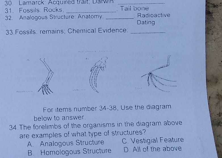 Lamarck: Acquired trait; Darwin_
31. Fossils. Rocks. _: Tail bone
32. Analogous Structure: Anatomy _Radioactive
Dating
33.Fossils: remains; Chemical Evidence:_
For items number 34-38, Use the diagram
below to answer.
34.The forelimbs of the organisms in the diagram above
are examples of what type of structures?
A. Analogous Structure C. Vestigial Feature
B. Homologous Structure D. All of the above