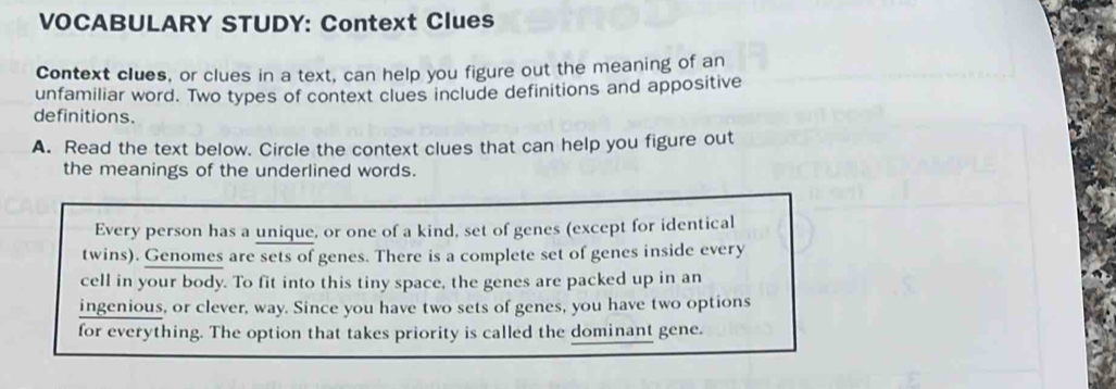 VOCABULARY STUDY: Context Clues 
Context clues, or clues in a text, can help you figure out the meaning of an 
unfamiliar word. Two types of context clues include definitions and appositive 
definitions. 
A. Read the text below. Circle the context clues that can help you figure out 
the meanings of the underlined words. 
Every person has a unique, or one of a kind, set of genes (except for identical 
twins). Genomes are sets of genes. There is a complete set of genes inside every 
cell in your body. To fit into this tiny space, the genes are packed up in an 
ingenious, or clever, way. Since you have two sets of genes, you have two options 
for everything. The option that takes priority is called the dominant gene.