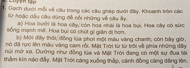 uyện tạp 
1. Gạch dưới mỗi vế câu trong các câu ghép dưới đây. Khoanh tròn các 
từ hoặc dấu câu dùng để nối những vế câu ấy. 
a) Hoa bưởi là hoa cây, còn hoa nhài là hoa bụi. Hoa cây có sức 
sống mạnh mẽ. Hoa bụi có chút gì giản dị hơn. 
b) Mới đây thôi, đồng lúa phơi một màu vàng chanh; còn bây giờ, 
nó đã rực lên màu vàng cam rồi. Mặt Trời từ từ trôi về phía những dãy 
núi mờ xa. Dường như đồng lúa và Mặt Trời đang có một sự đua tài 
thầm kín nào đấy. Mặt Trời càng xuống thấp, cánh đồng càng dâng lên.