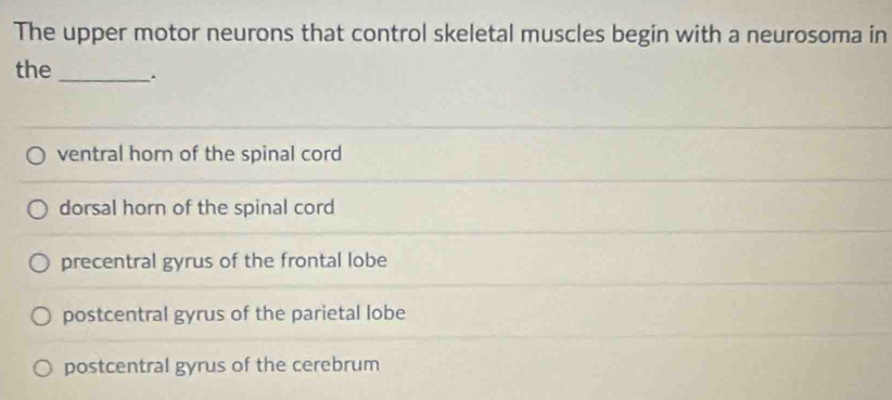 The upper motor neurons that control skeletal muscles begin with a neurosoma in
the _.
ventral horn of the spinal cord
dorsal horn of the spinal cord
precentral gyrus of the frontal lobe
postcentral gyrus of the parietal lobe
postcentral gyrus of the cerebrum