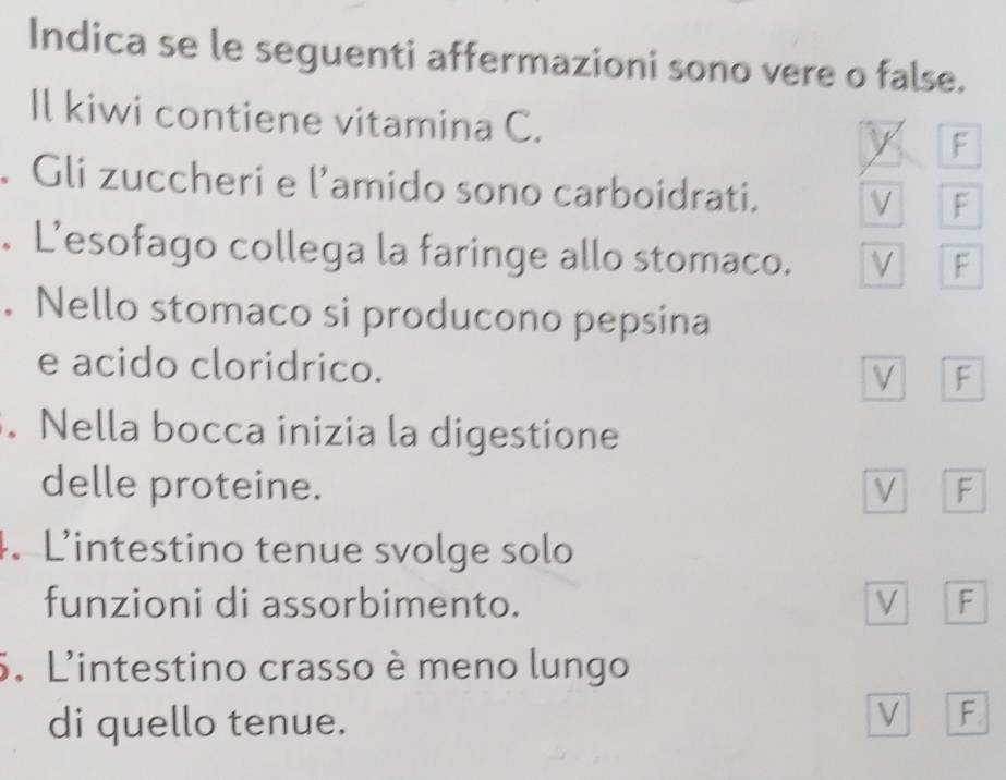 Indica se le seguenti affermazioni sono vere o false.
Il kiwi contiene vitamina C.
y F
Gli zuccheri e l’amido sono carboidrati. V F
. L’esofago collega la faringe allo stomaco. V F
. Nello stomaco si producono pepsina
e acido cloridrico.
V F
. Nella bocca inizia la digestione
delle proteine. V F
4. L’intestino tenue svolge solo
funzioni di assorbimento. V F
5. L'intestino crasso è meno lungo
di quello tenue.
V F