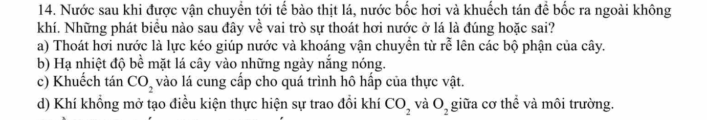 Nước sau khi được vận chuyển tới tế bào thịt lá, nước bốc hơi và khuếch tán để bốc ra ngoài không
khí. Những phát biểu nào sau đây về vai trò sự thoát hơi nước ở lá là đúng hoặc sai?
a) Thoát hơi nước là lực kéo giúp nước và khoáng vận chuyển từ rễ lên các bộ phận của cây.
b) Hạ nhiệt độ bề mặt lá cây vào những ngày nắng nóng.
c) Khuếch tán CO_2 vào lá cung cấp cho quá trình hô hấp của thực vật.
d) Khí khổng mở tạo điều kiện thực hiện sự trao đổi khí CO_2 và O_2 giữa cơ thể và môi trường.