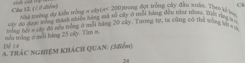 sinh của lop 
Câ 
Câu 12. (J,0 điểm) (π <200) trong đợt trồng cây đầu xuân. Theo kể loại 
Nhà trường dự kiến trồng n cây 
cây đó được trồng thành nhiều hàng mà số cây ở mỗi hàng đều như nhau. Biệt rằng ta có 
trồng hết n cây đó nếu trồng ở mỗi hàng 20 cây. Tương tự, ta cũng có thể trồng hết n cây 
nếu trồng ở mỗi hàng 25 cây. Tìm n. 
Đề 14
A. TRÁC NGHIỆM KHÁCH QUAN: (3điểm) 
24