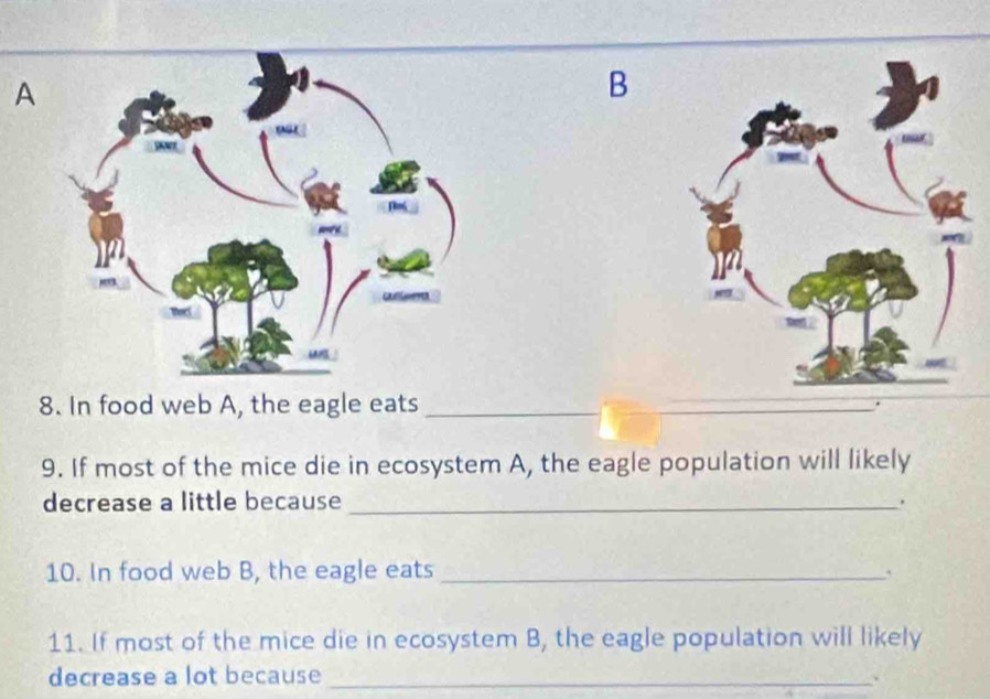 A 
B 
8. In food web A, the eagle eats_ 
9. If most of the mice die in ecosystem A, the eagle population will likely 
decrease a little because _. 
10. In food web B, the eagle eats_ 
11. If most of the mice die in ecosystem B, the eagle population will likely 
decrease a lot because _、