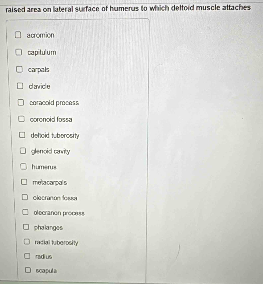raised area on lateral surface of humerus to which deltoid muscle attaches
acromion
capitulum
carpals
clavicle
coracoid process
coronoid fossa
deltoid tuberosity
glenoid cavity
humerus
metacarpals
olecranon fossa
olecranon process
phalanges
radial tuberosity
radius
scapula