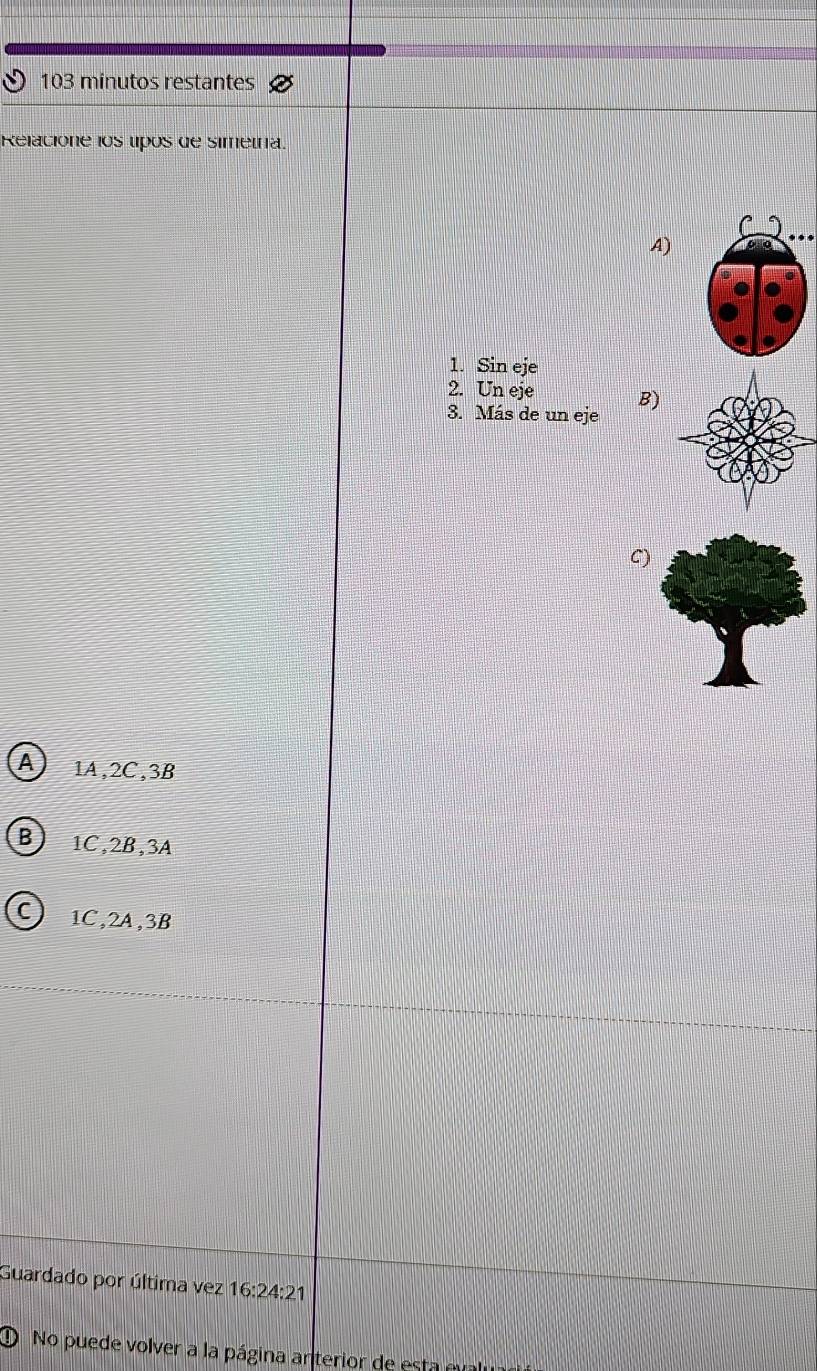 103 minutos restantes
Relacióne los upós de simetra.
C
A)
1. Sin eje
2. Un eje B)
3. Más de un eje
C)
A 1A, 2C, 3B
B 1C, 2B, 3A
C 1C, 2A, 3B
Guardado por última vez 16:24:21
① No puede volver a la página anterior de esta eu