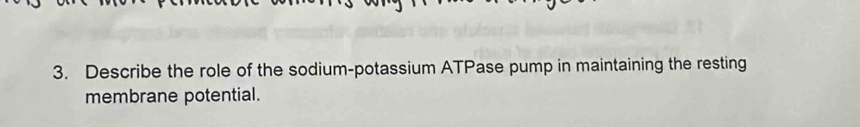 Describe the role of the sodium-potassium ATPase pump in maintaining the resting 
membrane potential.