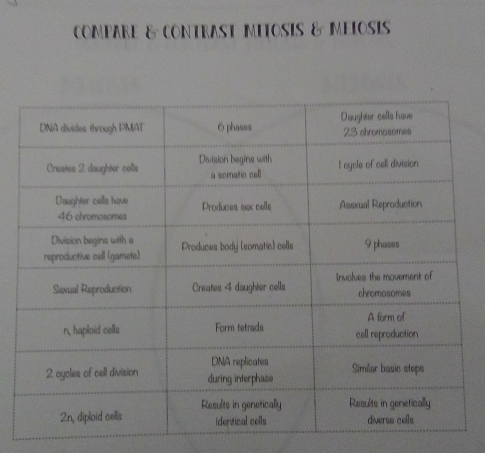 Compare &COntrast MitOsis & Meiosis