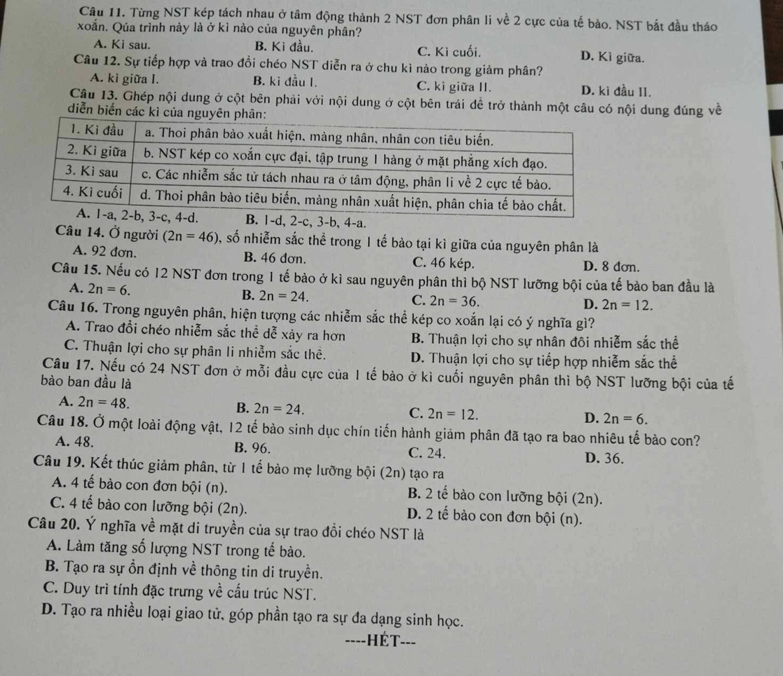 Từng NST kép tách nhau ở tâm động thành 2 NST đơn phân li về 2 cực của tế bào. NST bắt đầu tháo
xoắn. Qúa trình này là ở kì nào của nguyên phân?
A. Kì sau. B. Ki đầu. C. Kì cuối. D. Kì giữa.
Câu 12. Sự tiếp hợp và trao đổi chéo NST diễn ra ở chu kì nào trong giảm phân?
A. kì giữa I. B. ki đầu I. C. kì giữa II. D. kì đầu II.
Câu 13. Ghép nội dung ở cột bên phải với nội dung ở cột bên trái đề trở thành một câu có nội dung đúng về
diễn biến các kì của nguyên phân:
d, 2-c, 3-b, 4-a.
Câu 14. Ở người (2n=46) , số nhiễm sắc thể trong 1 tế bào tại kì giữa của nguyên phân là
A. 92 đơn. B. 46 dơn. C. 46 kép. D. 8 đơn.
Câu 15. Nếu có 12 NST đơn trong 1 tế bào ở kì sau nguyên phân thì bộ NST lưỡng bội của tế bào ban đầu là
A. 2n=6. B. 2n=24.
C. 2n=36. D. 2n=12.
Câu 16. Trong nguyên phân, hiện tượng các nhiễm sắc thể kép co xoắn lại có ý nghĩa gì?
A. Trao đổi chéo nhiễm sắc thể dễ xảy ra hơn B. Thuận lợi cho sự nhân đôi nhiễm sắc thể
C. Thuận lợi cho sự phân li nhiễm sắc thể. D. Thuận lợi cho sự tiếp hợp nhiễm sắc thể
Câu 17. Nếu có 24 NST đơn ở mỗi đầu cực của 1 tế bào ở kì cuối nguyên phân thì bộ NST lưỡng bội của tế
bào ban đầu là
A. 2n=48.
B. 2n=24. C. 2n=12. D. 2n=6.
Câu 18. Ở một loài động vật, 12 tế bào sinh dục chín tiến hành giảm phân đã tạo ra bao nhiêu tế bào con?
A. 48. B. 96. C. 24. D. 36.
Câu 19. Kết thúc giảm phân, từ 1 tế bào mẹ lưỡng bội (2n) tạo ra
A. 4 tế bào con đơn bội (n). B. 2 tế bào con lưỡng bội (2n).
C. 4 tế bào con lưỡng bội (2n). D. 2 tế bào con đơn bội (n).
Câu 20. Ý nghĩa về mặt di truyền của sự trao đồi chéo NST là
A. Làm tăng số lượng NST trong tế bào.
B. Tạo ra sự ổn định về thông tin di truyền.
C. Duy trì tính đặc trưng về cấu trúc NST.
D. Tạo ra nhiều loại giao tử, góp phần tạo ra sự đa dạng sinh học.
----HÉT---