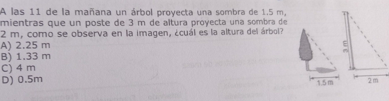 A las 11 de la mañana un árbol proyecta una sombra de 1.5 m,
mientras que un poste de 3 m de altura proyecta una sombra de
2 m, como se observa en la imagen, ¿cuál es la altura del árbol?
A) 2.25 m
B) 1.33 m
C) 4 m
D) 0.5m