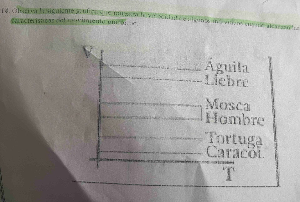 Observa la siguiente gráfica que muestra la velocidad de algunos individuos cuando alcanzan las
características del movimiento uniforme.
Águila
Liebre
Mosca
Hombre
Tortuga
Caracol
T