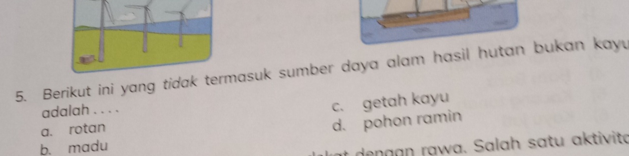 Berikut ini yang tidakmasuk sumber daya alam hasil hutan bukan kay.
adalah . . . .
a. rotan c. getah kayu
d. pohon ramin
b. madu
i a a aw a . S alah s a tu a ktivita