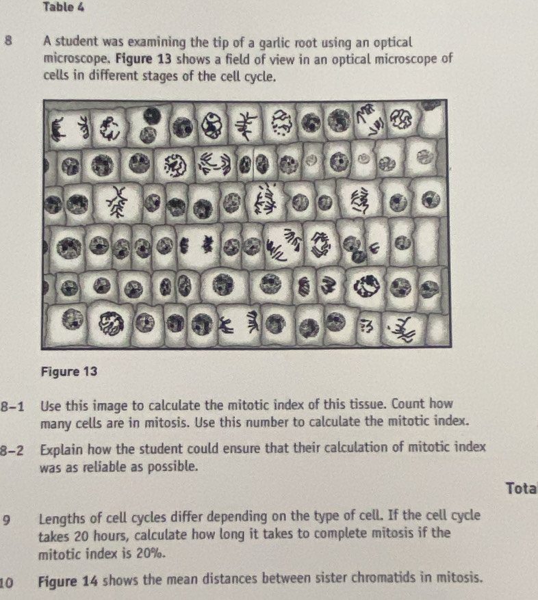 Table 4 
8 A student was examining the tip of a garlic root using an optical 
microscope. Figure 13 shows a field of view in an optical microscope of 
cells in different stages of the cell cycle. 
Figure 13 
8-1 Use this image to calculate the mitotic index of this tissue. Count how 
many cells are in mitosis. Use this number to calculate the mitotic index. 
8-2 Explain how the student could ensure that their calculation of mitotic index 
was as reliable as possible. 
Tota 
9 Lengths of cell cycles differ depending on the type of cell. If the cell cycle 
takes 20 hours, calculate how long it takes to complete mitosis if the 
mitotic index is 20%. 
10 Figure 14 shows the mean distances between sister chromatids in mitosis.