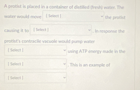 A protist is placed in a container of distilled (fresh) water. The 
water would move [ Select ] the protist 
causing it to [ Select ] . In response the 
protist's contracile vacuole would pump water 
[ Select ] using ATP energy made in the 
[ Select ] . This is an example of 
[ Select ]