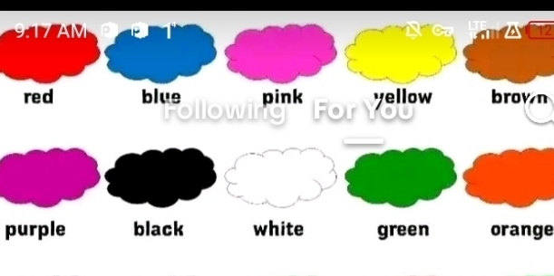 AM
a 12
red blue pink For
yellow brown

purple black white green orange