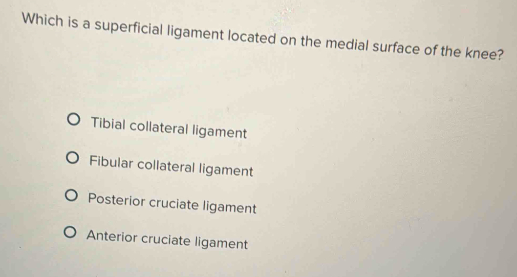 Solved: Which is a superficial ligament located on the medial surface ...