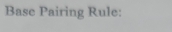 Base Pairing Rule: