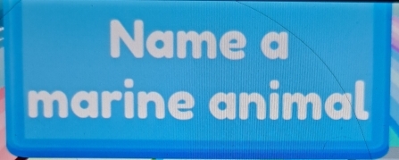 Name a 
marine animal