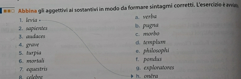 Abbina gli aggettivi ai sostantivi in modo da formare sintagmi corretti. L'esercizio è avviato
1. levia •
a. verba
2. sapientes b. pugna
3. audaces c. morbo
4. grave d. templum
5. turpia e. philosophi
6. mortali f. pondus
7. equestris g. exploratores
8. celebre h. oněra