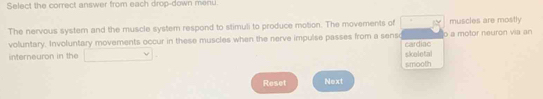 Select the correct answer from each drop-down menu.
The nervous system and the muscle system respond to stimuli to produce motion. The movements of muscles are mostly
voluntary. Involuntary movements occur in these muscles when the nerve impulse passes from a senso o a motor neuron via an
interneuron in the skoletal cardiac
smooth
Reset Next