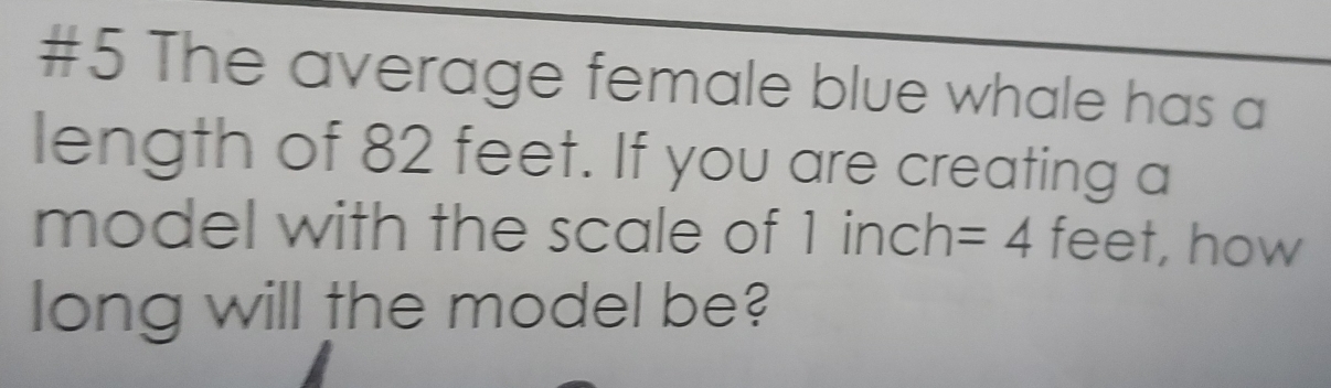 #5 The average female blue whale has a 
length of 82 feet. If you are creating a 
model with the scale of 1 inch =4 feet, how 
long will the model be?