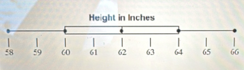 Height in Inches
5866