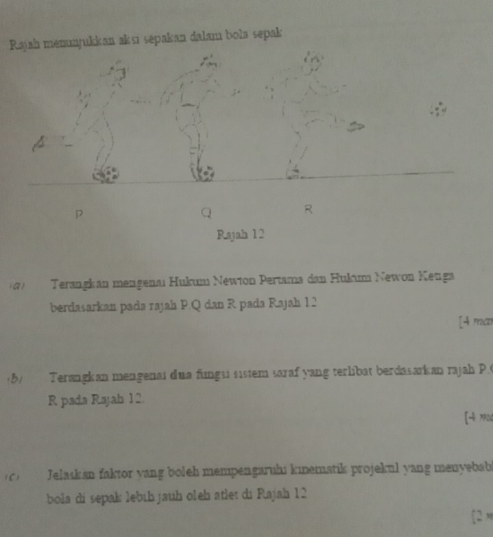 Rajah menunjukkan aksi sepakan dalam bola sepak
P
a
R
Rajah 12 
a) Terangkan mengenai Hukum Newton Pertama dan Hukum Newon Kenga 
berdasarkan pada rajah P. Q dan R pada Rajah 12 
[4 ma 
B1 Terangkan mengenai dua fungu sistem saraf yang terlibat berdasarkan rajah P. 
R pada Rajah 12. 
[÷ 7906 
(C) Jelaskan faktor yang boleh mempengaruhi kıematik projekul yang menyəbab 
bola di sepak lebıh jauh oleb atler di Rajah 12 
[2 η