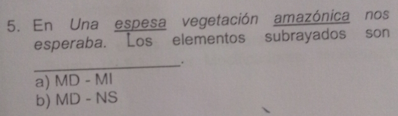 En Una espesa vegetación amazónica nos
esperaba. Los elementos subrayados son
_.
a) MD-MI
b) MD-NS