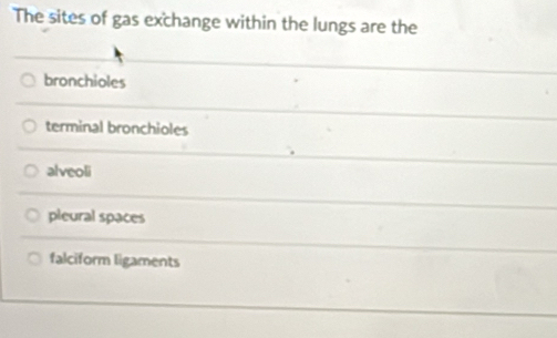 The sites of gas exchange within the lungs are the
bronchioles
terminal bronchioles
alveoli
pleural spaces
falciform ligaments