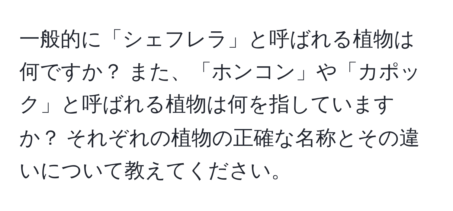 一般的に「シェフレラ」と呼ばれる植物は何ですか？ また、「ホンコン」や「カポック」と呼ばれる植物は何を指していますか？ それぞれの植物の正確な名称とその違いについて教えてください。