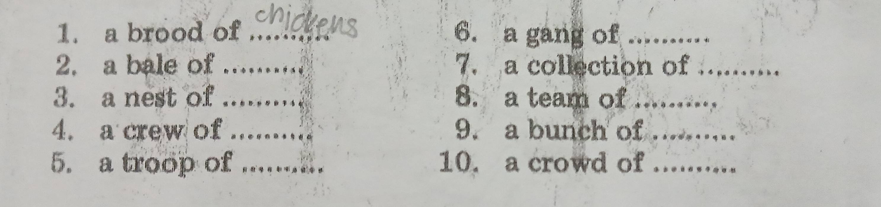 a brood of _6. a gang of_ 
2. a bale of _7. a collection of_ 
3. a nest of _8. a team of_ 
4. a crew of _9. a bunch of_ 
5. a troop of _10. a crowd of_