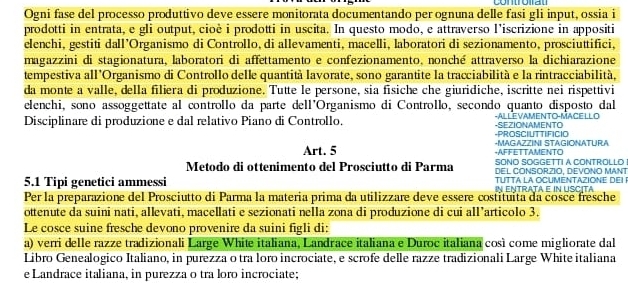 Ogni fase del processo produttivo deve essere monitorata documentando per ognuna delle fasi gli input, ossia i
prodotti in entrata, e gli output, cioè i prodotti in uscita. In questo modo, e attraverso l’iscrizione in appositi
elenchi, gestiti dall’Organismo di Controllo, di allevamenti, macelli, laboratori di sezionamento, prosciuttifici,
magazzini di stagionatura, laboratori di affettamento e confezionamento, nonché attraverso la dichiarazione
tempestiva all'Organismo di Controllo delle quantità lavorate, sono garantite la tracciabilità e la rintracciabilità,
da monte a valle, della filiera di produzione. Tutte le persone, sia fisiche che giuridiche, iscritte nei rispettivi
elenchi, sono assoggettate al controllo da parte dell'Organismo di Controllo, secondo quanto disposto dal
Disciplinare di produzione e dal relativo Piano di Controllo, -SEZIONAMENTO -ALLEVAMENTO-MACELLO
-PROSCILTTIFICIO
Art. 5 -AFFE T TAMENTO -MAGAZZINI STAGIONATURA
SONO SOGGETTI A CONTROLLO
Metodo di ottenimento del Prosciutto di Parma DEL CONSORZIO, DEVONO MANT
5.1 Tipi genetici ammessi In Entrata e in uscita TUTTA LA OCUMENTAZIONE DEI P
Per la preparazione del Prosciutto di Parma la materia prima da utilizzare deve essere costituita da cosce fresche
ottenute da suini nati, allevati, macellati e sezionati nella zona di produzione di cui all’articolo 3.
Le cosce suine fresche devono provenire da suini figli di:
a) verri delle razze tradizionali Large White italiana, Landrace italiana e Duroc italiana così come migliorate dal
Libro Genealogico Italiano, in purezza o tra loro incrociate, e scrofe delle razze tradizionali Large White italiana
e Landrace italiana, in purezza o tra loro incrociate;