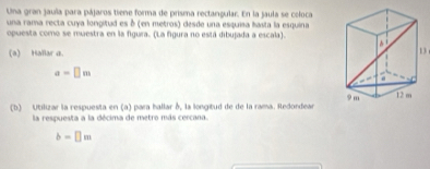 Una gran jaula para pájaros tiene forma de prisma rectangular. En la jaula se coloca 
una rama recta cuya longitud es δ (en metros) desde una esquia basta la esquina 
opuesta como se muestra en la figura. (La figura no está dibujada a escala). 
(a) Hallar a. 13
a=□ m
(b) Utilizar la respuesta en (a) para hallar δ, la longitud de de la rama. Redordear 
la respuesta a la décima de metro más cercana.
b=□ m