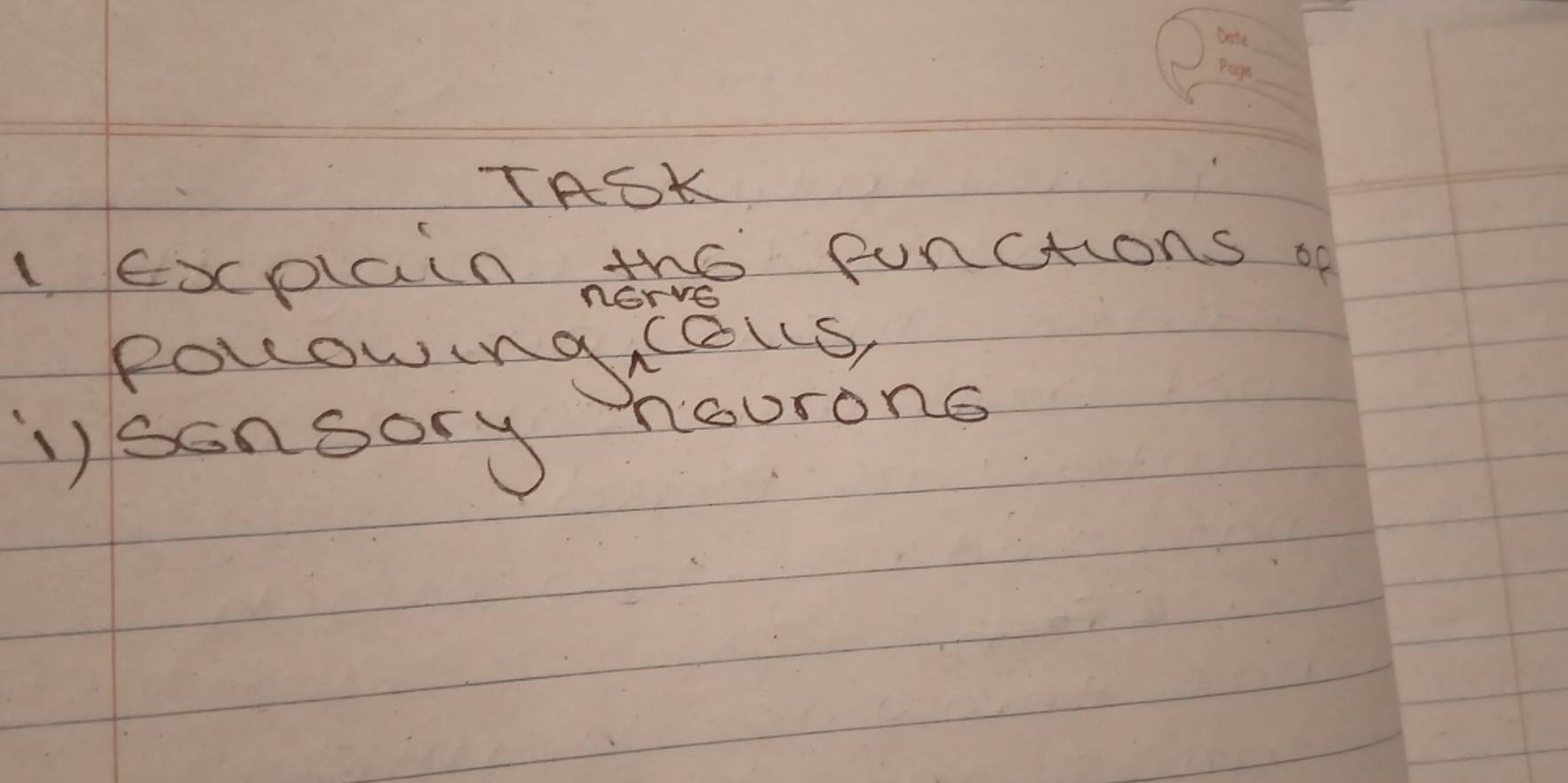 TAOK 
explain the punctions of 
nGrve 
polowing ols 
i) sonoory nourons