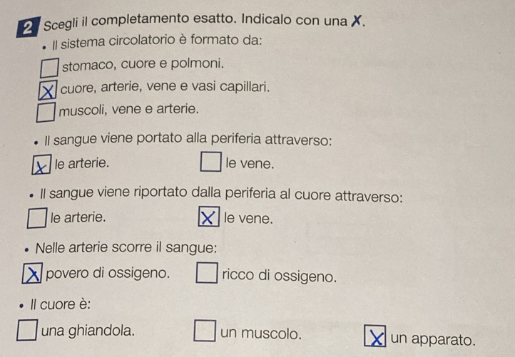 Scegli il completamento esatto. Indicalo con una X.
Il sistema circolatorio è formato da:
stomaco, cuore e polmoni.
cuore, arterie, vene e vasi capillari.
muscoli, vene e arterie.
Il sangue viene portato alla periferia attraverso:
le arterie. le vene.
Il sangue viene riportato dalla periferia al cuore attraverso:
le arterie. le vene.
Nelle arterie scorre il sangue:
povero di ossigeno. ricco di ossigeno.
Il cuore è:
una ghiandola. un muscolo. un apparato.