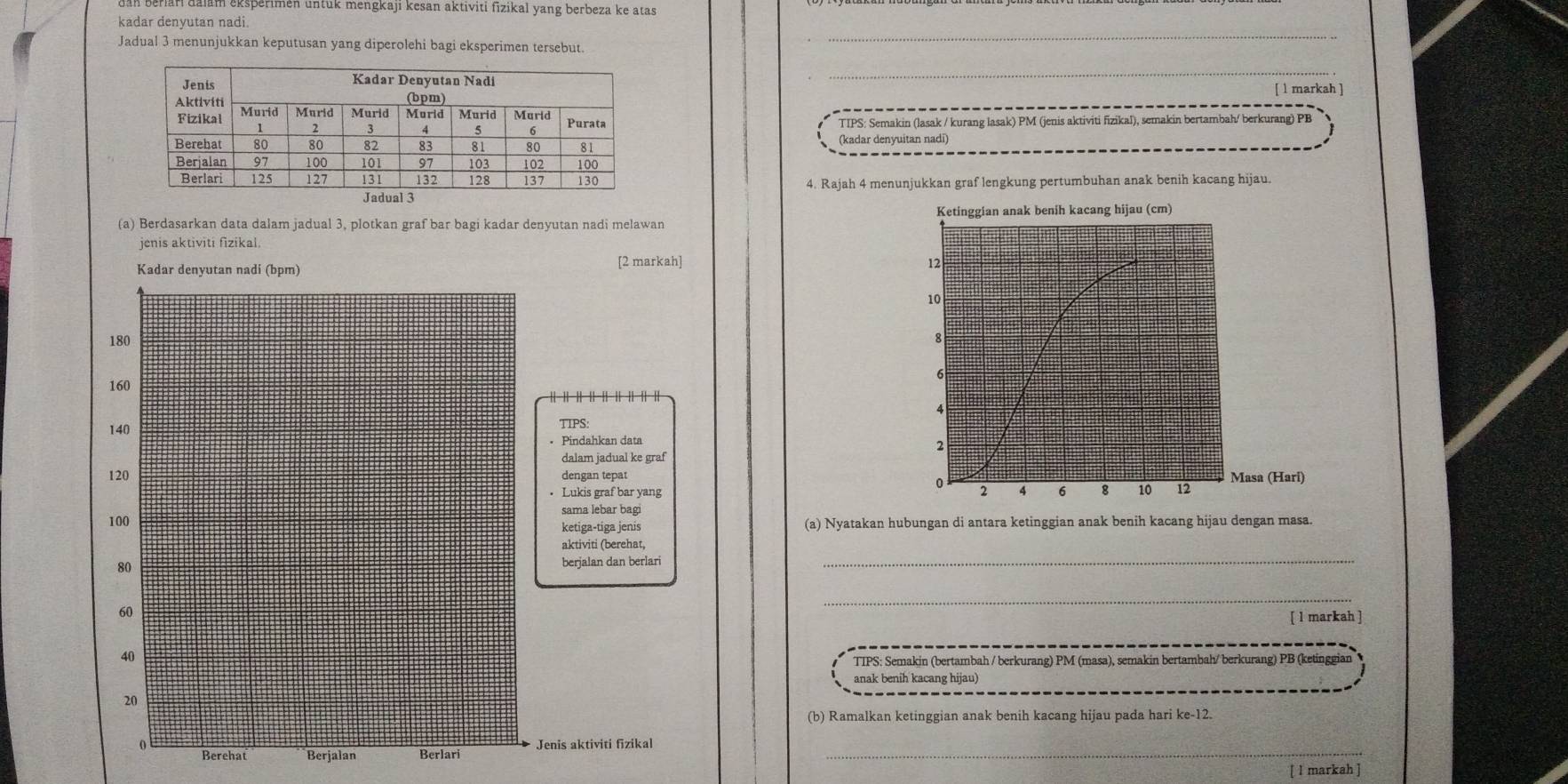 un uali eksperimen untük mengkaji kesan aktiviti fizikal yang berbeza ke atas 
kadar denyutan nadi. 
Jadual 3 menunjukkan keputusan yang diperolehi bagi eksperimen tersebut. 
_ 
_ 
[ 1 markah ] 
TIPS: Semakin (lasak / kurang lasak) PM (jenis aktiviti fizikal), semakin bertambah/ berkurang) PB 
(kadar denyuitan nadi) 
4. Rajah 4 menunjukkan graf lengkung pertumbuhan anak benih kacang hijau. 
(a) Berdasarkan data dalam jadual 3, plotkan graf bar bagi kadar denyutan nadi melawan Ketinggian anak benih kacang hijau (cm) 
jenis aktivīti fizikal. 
[2 markah]
12
10
8
6
4
2
Masa (Hari)
0
2 4 6 8 10 12
(a) Nyatakan hubungan di antara ketinggian anak benih kacang hijau dengan masa. 
_ 
_ 
[ l markah ] 
TIPS: Semakin (bertambah / berkurang) PM (masa), semakin bertambah/ berkurang) PB (ketinggian 
anak benih kacang hijau) 
(b) Ramalkan ketinggian anak benih kacang hijau pada hari ke -12. 
_ 
[ 1 markah ]