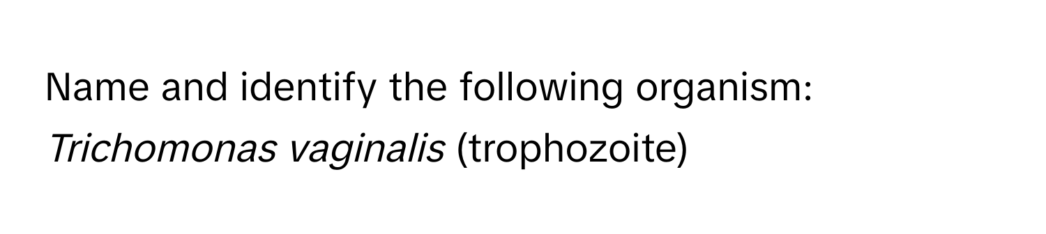 Name and identify the following organism: *Trichomonas vaginalis* (trophozoite)