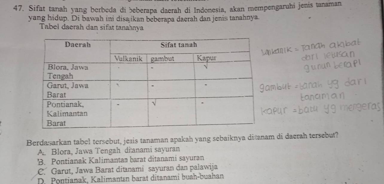 Sifat tanah yang berbeda di beberapa daerah di Indonesia, akan mempengaruhi jenis tanaman
yang hidup. Di bawah ini disajikan beberapa daerah dan jenis tanahnya.
Tabel daerah dan sifat tanahnya
Berdasarkan tabel tersebut, jeais tanaman apakah yang sebaiknya di tanam di daerah tersebut?
Ap Blora, Jawa Tengah ditanami sayuran
B. Pontianak Kalimantan barat ditanami sayuran
C. Garut, Jawa Barat ditanami sayuran dan palawija
D. Pontianak, Kalimantın barat ditanami buah-buahan