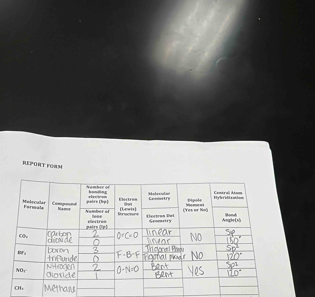 REPORT FORM