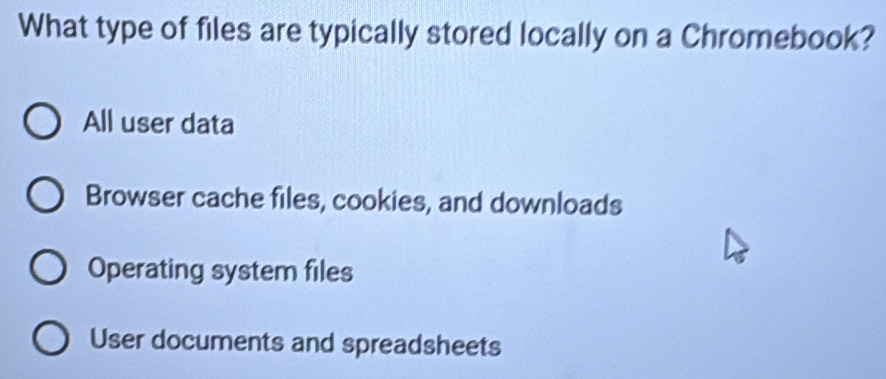 What type of files are typically stored locally on a Chromebook?
All user data
Browser cache files, cookies, and downloads
Operating system files
User documents and spreadsheets