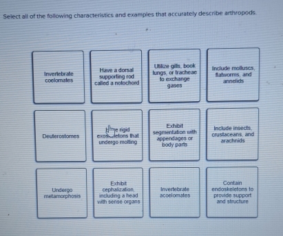 Select all of the following characteristics and examples that accurately describe arthropods. 
Have a dorsal Utilize gills, book 
supporting rod lungs, or tracheac Include molluscs 
Inverlebrale coelomates called a notochord 
to exchange gases fatworms, and 
annelids 
me rigid segmentation with Exhibit Include insects 
Deuterostomes exsdetons that undergo molling appendages or body parts crustaceans, and arachnids 
Exhibit Contain 
metamorphosis Undergo including a head cephalization acoelomates Invertebrate endoskeletons to provide support 
with sense organs and structure