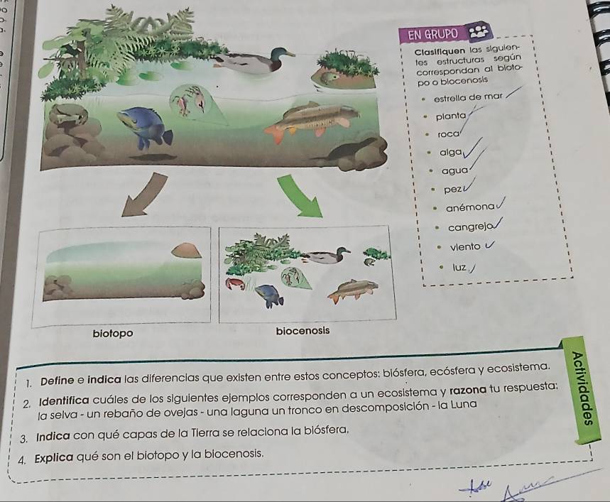 EN GRUPO 
Clasifiquen las siguien- 
tes estructuras según 
correspondan al bioto- 
po o blocenosis 
estrella de mar 
planta 
roca 
alga 
agua 
pezl 
anémona 
cangrejo 
vlento 
luz 
1. Define e indica las diferencias que existen entre estos conceptos: biósfera, ecósfera y ecosistema. 
2. Identifica cuáles de los siguientes ejemplos corresponden a un ecosistema y razona tu respuesta; 
la selva - un rebaño de ovejas - una laguna un tronco en descomposición - la Luna 
3. Indica con qué capas de la Tierra se relaciona la biósfera. 
4. Explica qué son el biotopo y la biocenosis.